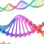 Ricerca sui sarcomi, 190 pazienti per i nuovi farmaci “target”. E il progetto vola ad Ottawa