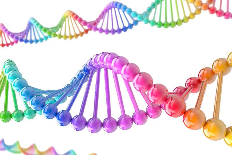 Ricerca sui sarcomi, 190 pazienti per i nuovi farmaci “target”. E il progetto vola ad Ottawa